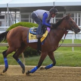 Horse Racing: Preakness-Workouts