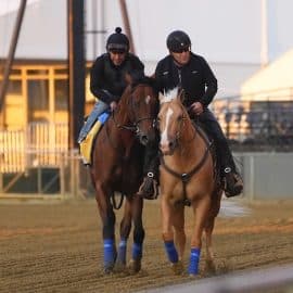 Preakness Stakes contender National Treasure trains.