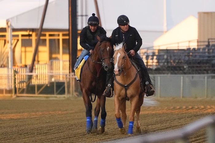 Preakness Stakes contender National Treasure trains.