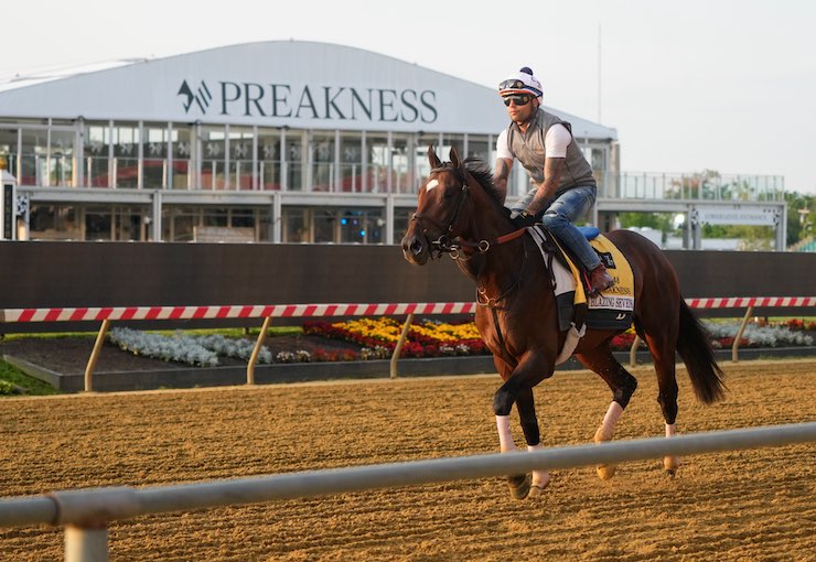 Printable Preakness 2023 Cheat Sheet & Horse Betting Guide British