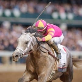 Tapit Trice Odds, Jockey, Trainer, Owner, Pedigree, Equibase Speed Figure, & Horse Racing