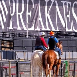 mage preakness