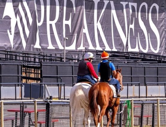 mage preakness