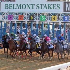 Belmont Stakes betting