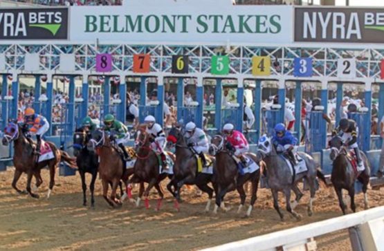 Belmont Stakes betting