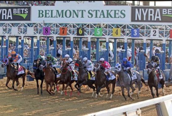 How to Bet on Belmont Stakes 2023 in Alberta | AB Sports Betting Apps