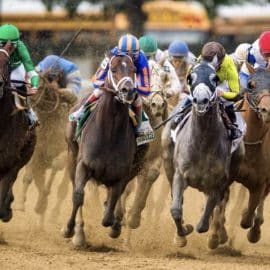 How to Bet on Belmont Stakes 2023 in Canada | Canada Sports Betting Apps