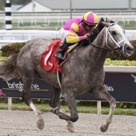 Tapit Trice Odds, Jockey, Trainer, Owner, Pedigree, Equibase Speed Figure, & Horse Racing Stats