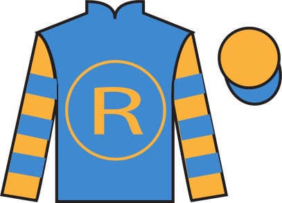 2023 Belmont Stakes Lineup: Horse and Jockey Colors & Silks Guide