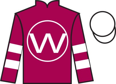 2023 Belmont Stakes Lineup: Horse and Jockey Colors & Silks Guide