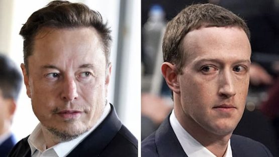 Elon Musk vs Mark Zuckerberg Fight (1)