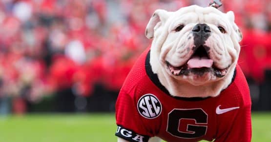 uga the bulldog