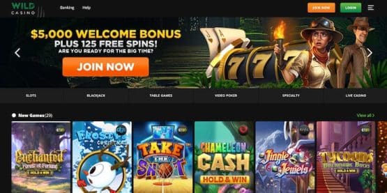 New York online casinos wild casino bonus
