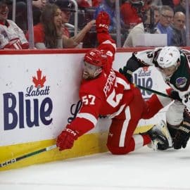 red wings walled by coyotes (1)