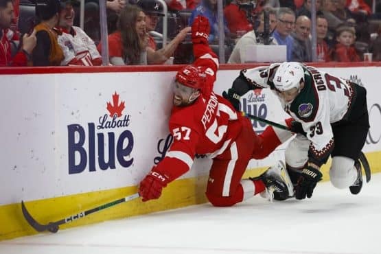 red wings walled by coyotes (1)