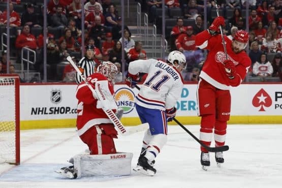 nhl red wings in big big playoff game (1)