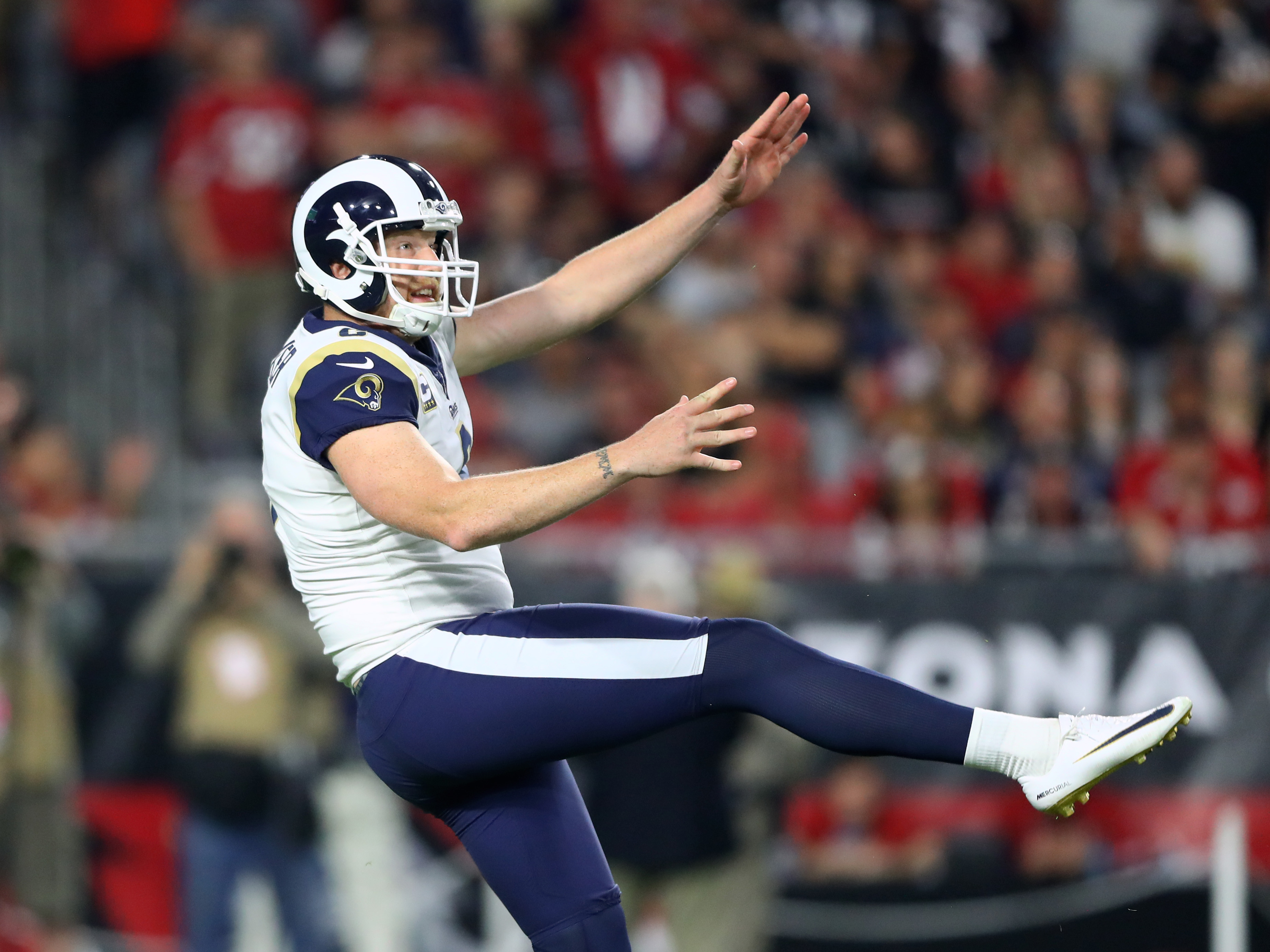 Los Angeles Rams have an MVP Most Valuable Punter The Sports Daily