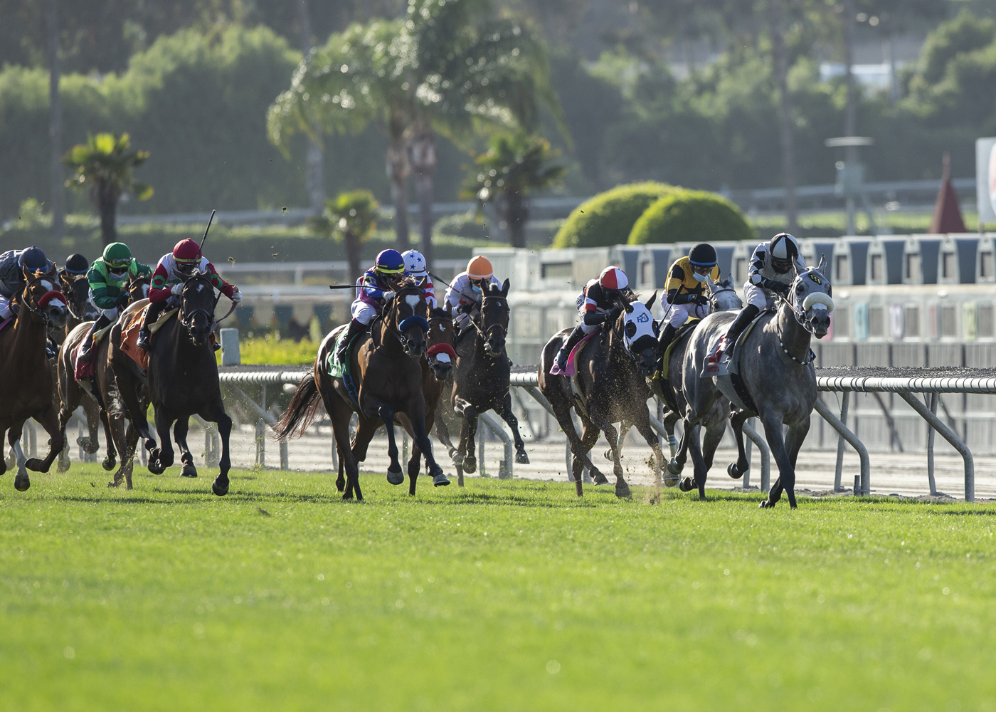 5 Tips To Help Win Through Horse Racing | The Sports Daily