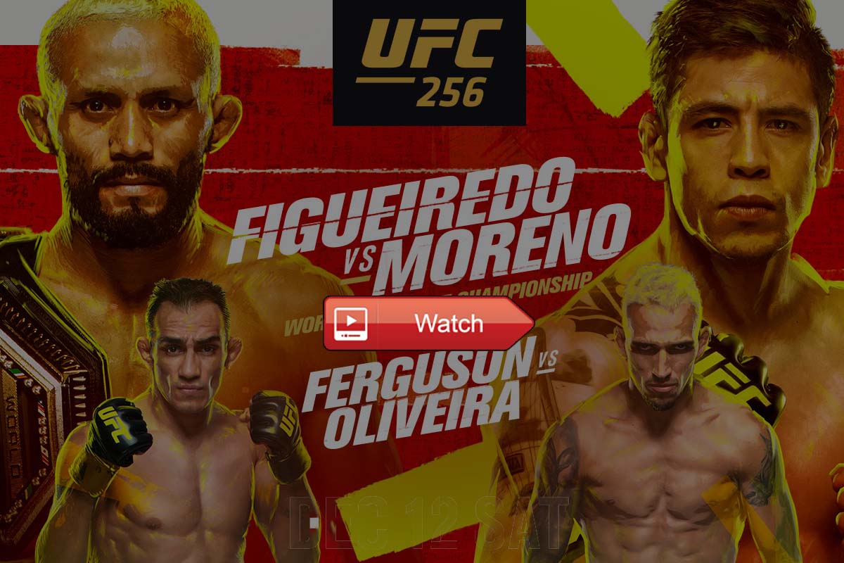 UFC 256 Buffstreams MMA Event Live Stream Online Free Reddit, Main