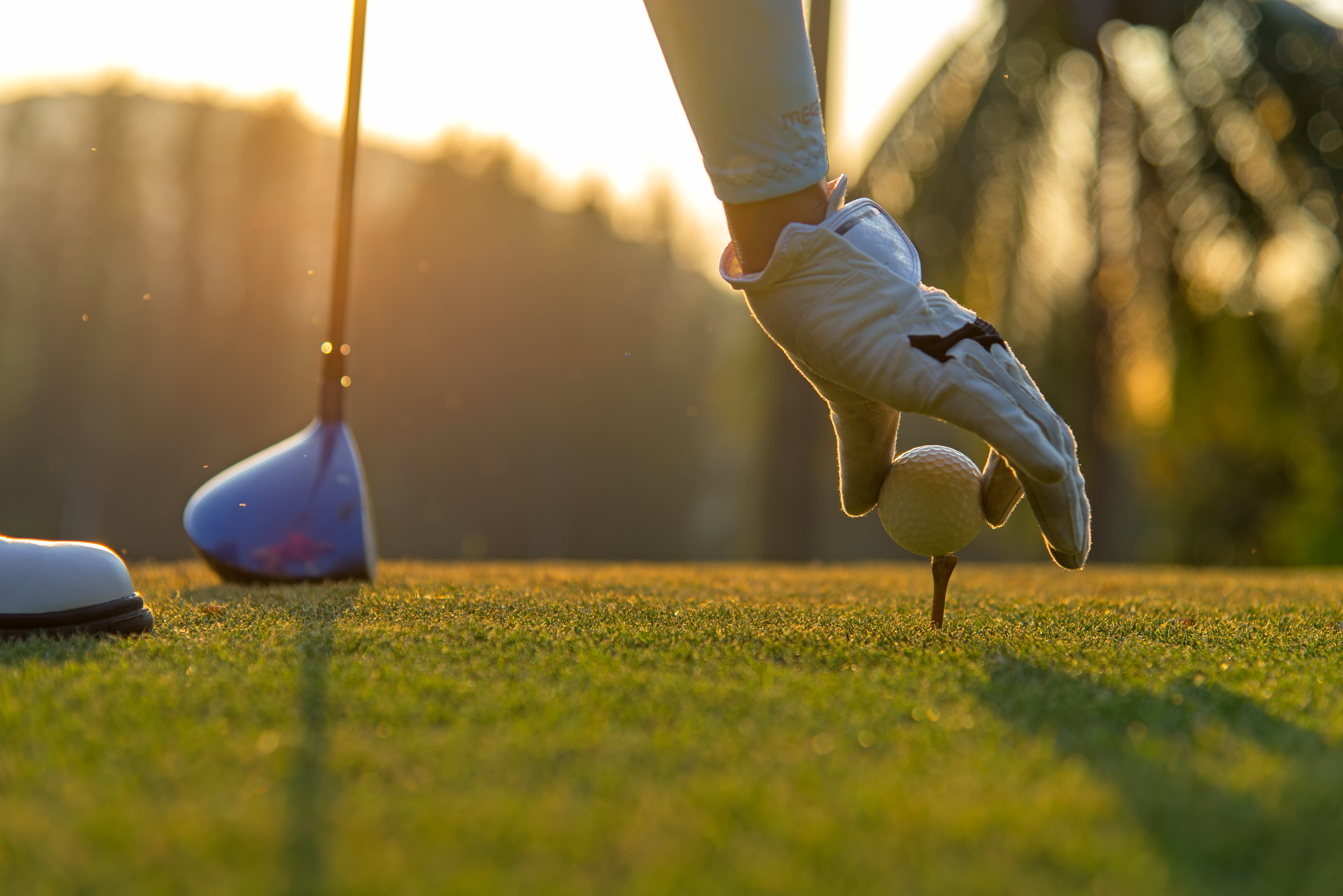 A Beginner's Guide To Golf
